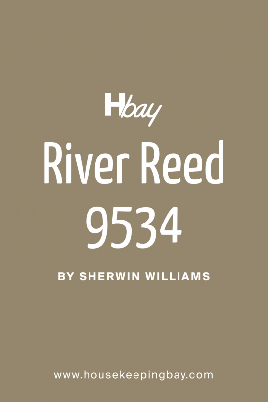 River Reed SW 9534 Paint Color by Sherwin-Williams