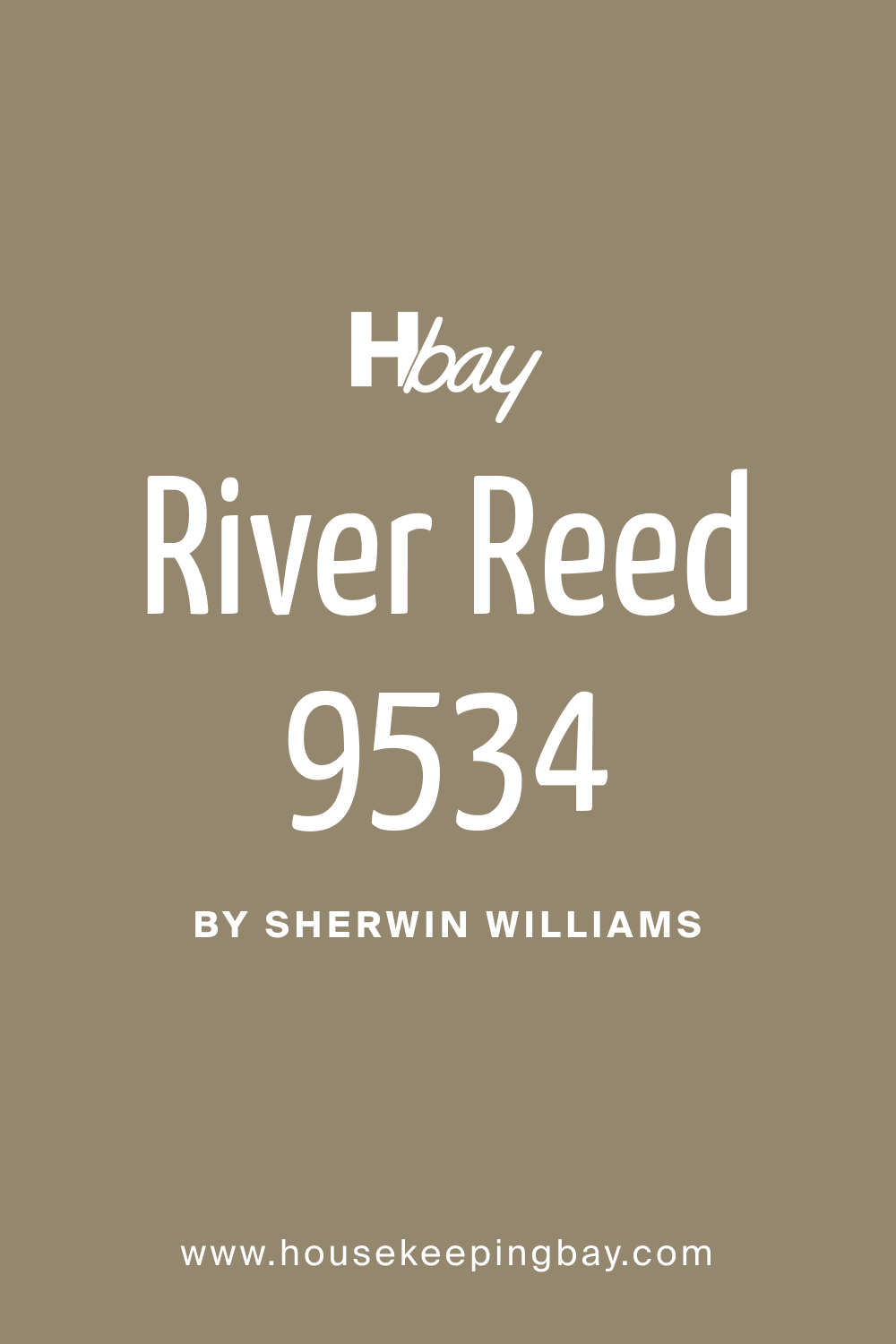 SW 9534 River Reed Paint Color by Sherwin Williams