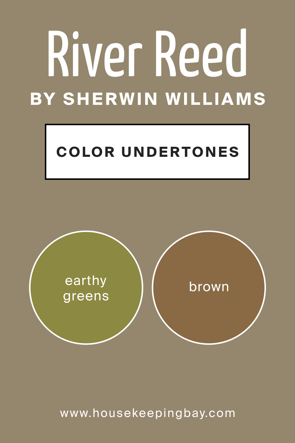 SW 9534 River Reed by Sherwin Williams Color Undertone