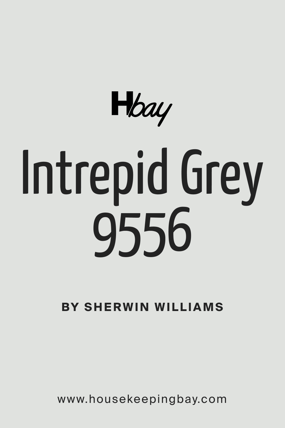 SW 9556 Intrepid Grey Paint Color by Sherwin Williams