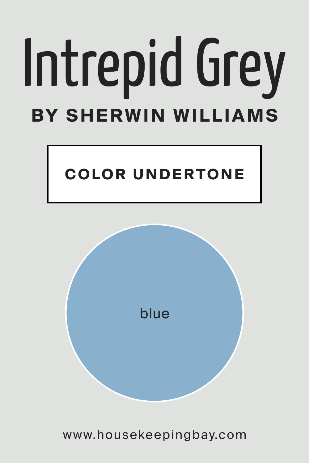 SW 9556 Intrepid Grey by Sherwin Williams Color Undertone