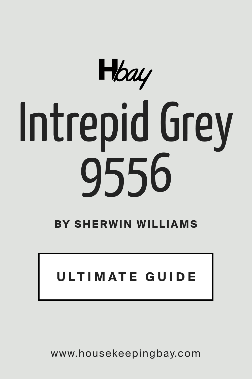 SW 9556 Intrepid Grey by Sherwin Williams Ultimate Guide