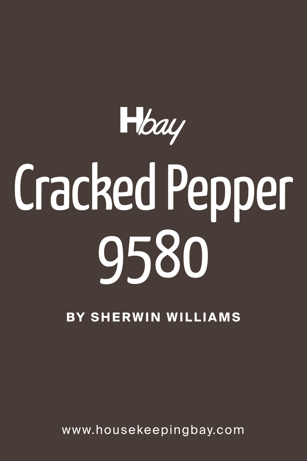 SW 9580 Cracked Pepper Paint Color by Sherwin Williams