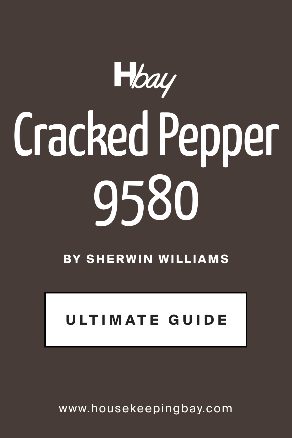 SW 9580 Cracked Pepper by Sherwin Williams Ultimate Guide