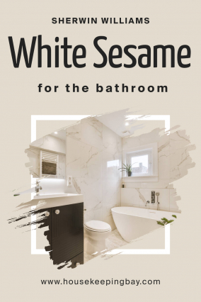 White Sesame SW 9586 Paint Color by Sherwin-Williams