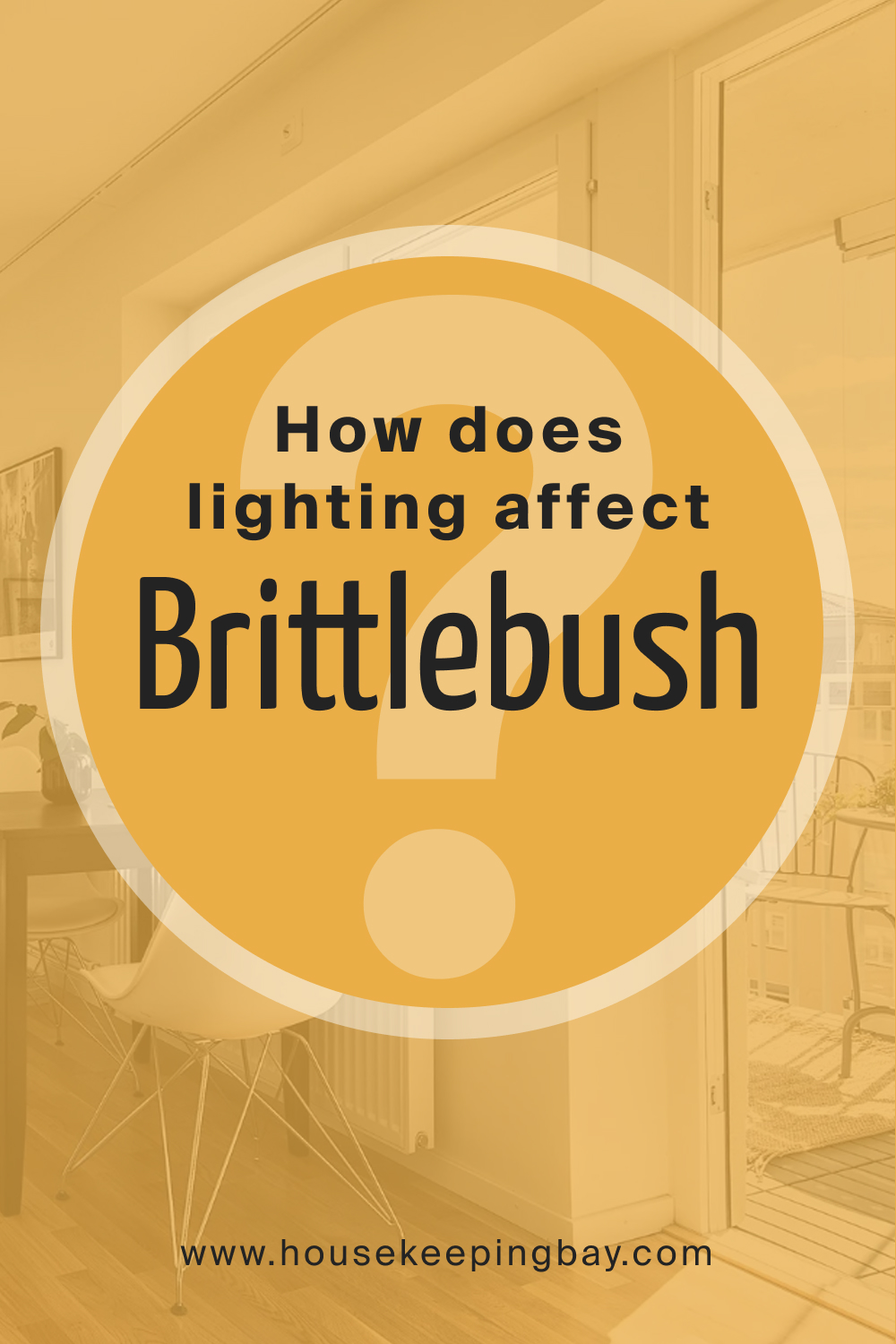 How does lighting affect Brittlebush SW 6684