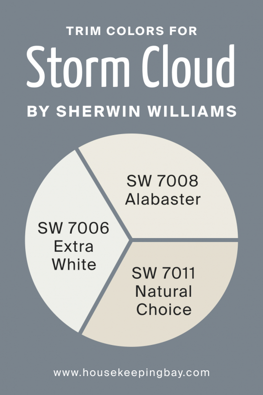 Storm Cloud SW 6249 Paint Color by Sherwin Williams