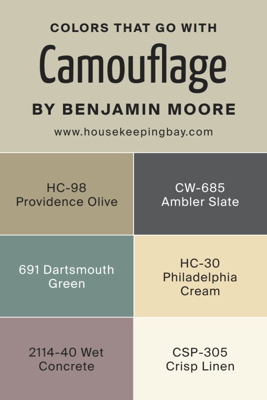 Camouflage 2143-40 Paint Color by Benjamin Moore - Housekeepingbay