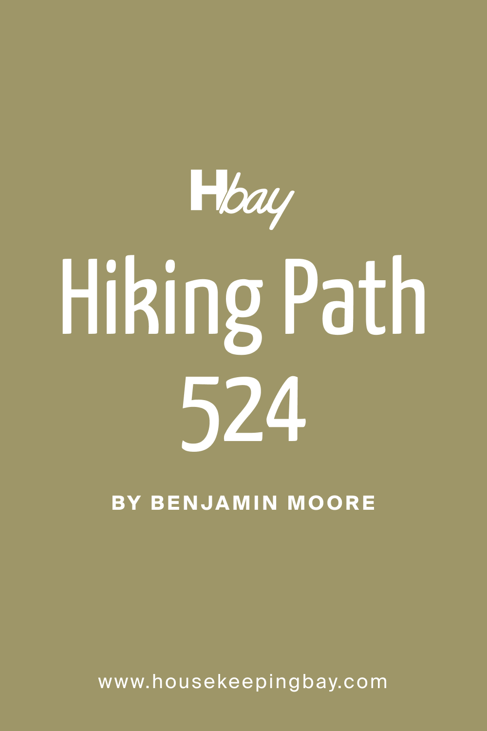 What Color Is BM Hiking Path 524?