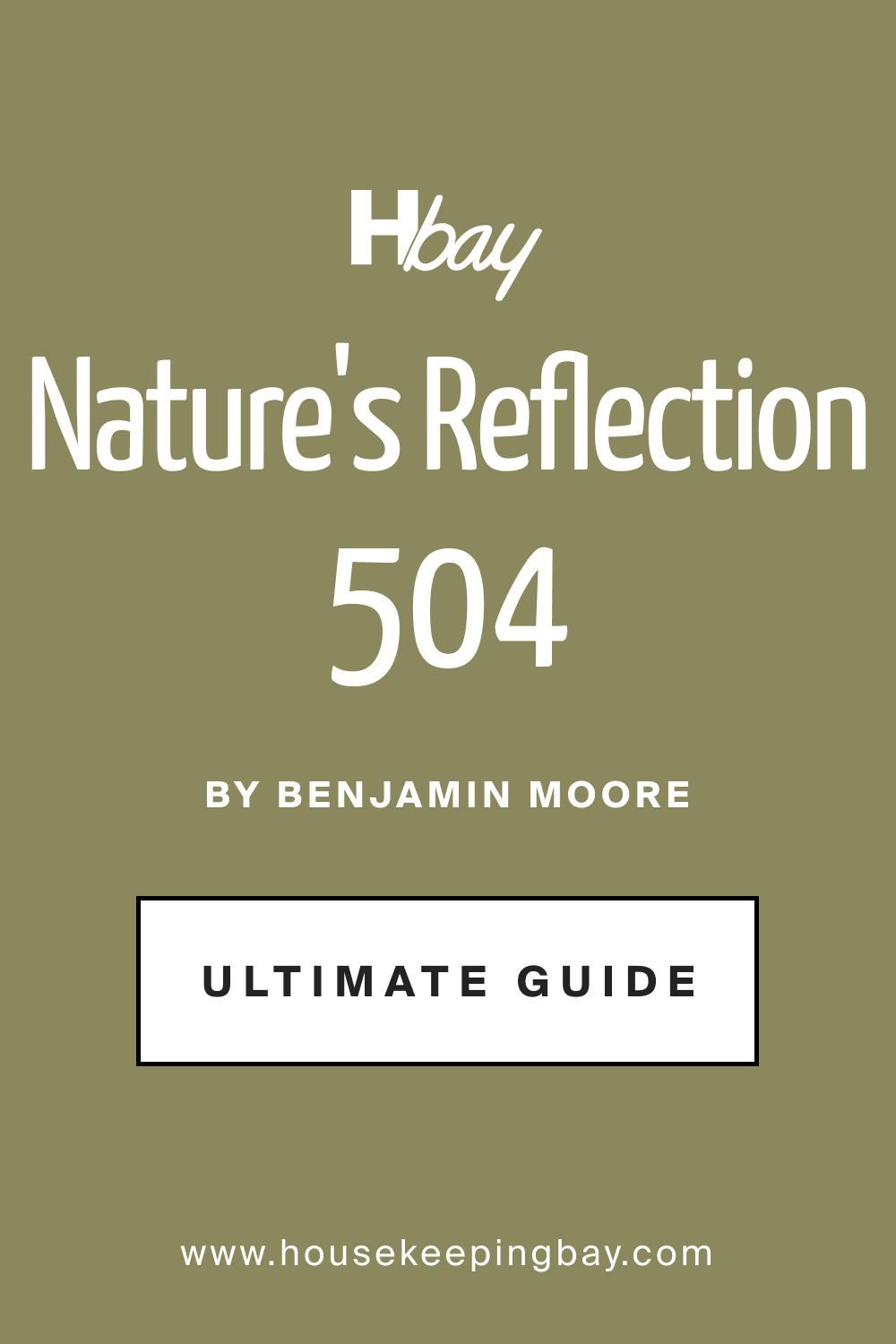 Guide of Nature's Reflection 504 Paint Color by Benjamin Moore