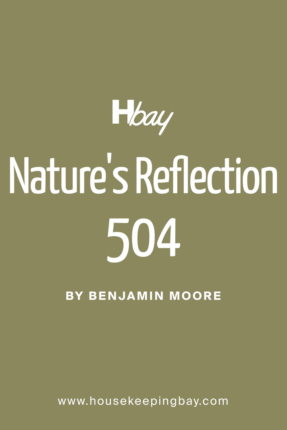 What Color Is BM Nature's Reflection 504?