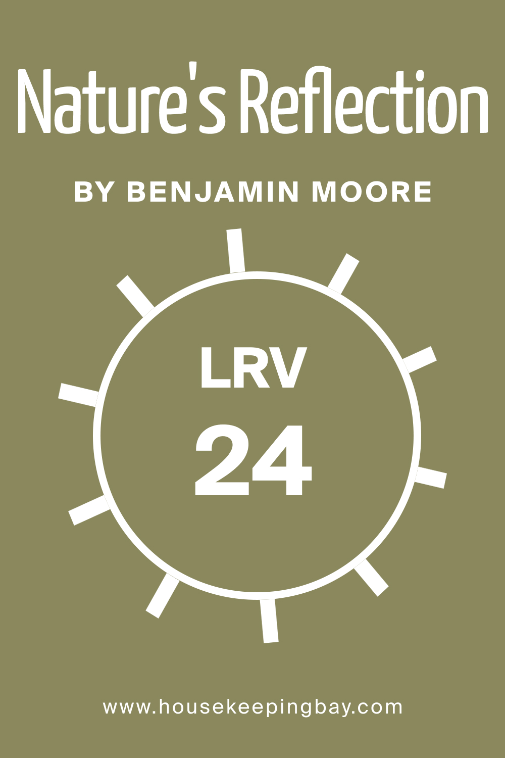 LRV of BM Nature's Reflection 504