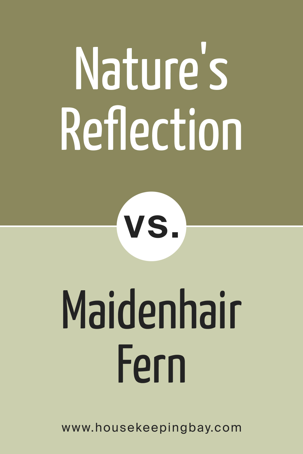 BM Nature's Reflection 504 vs. BM 500 Maidenhair Fern