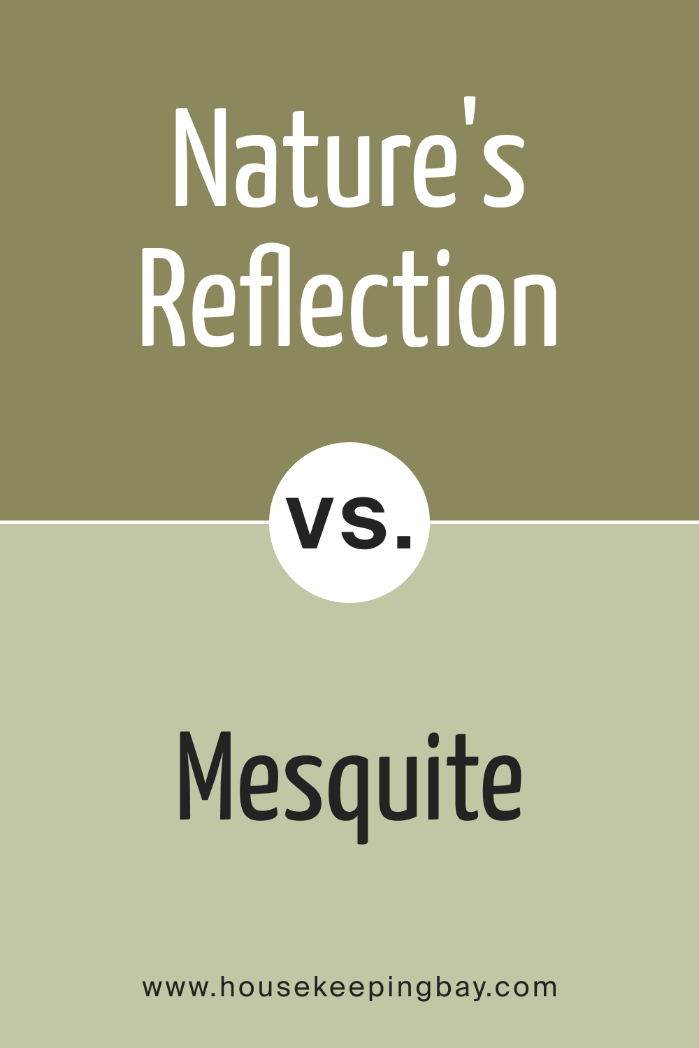 BM Nature's Reflection 504 vs. BM 501 Mesquite