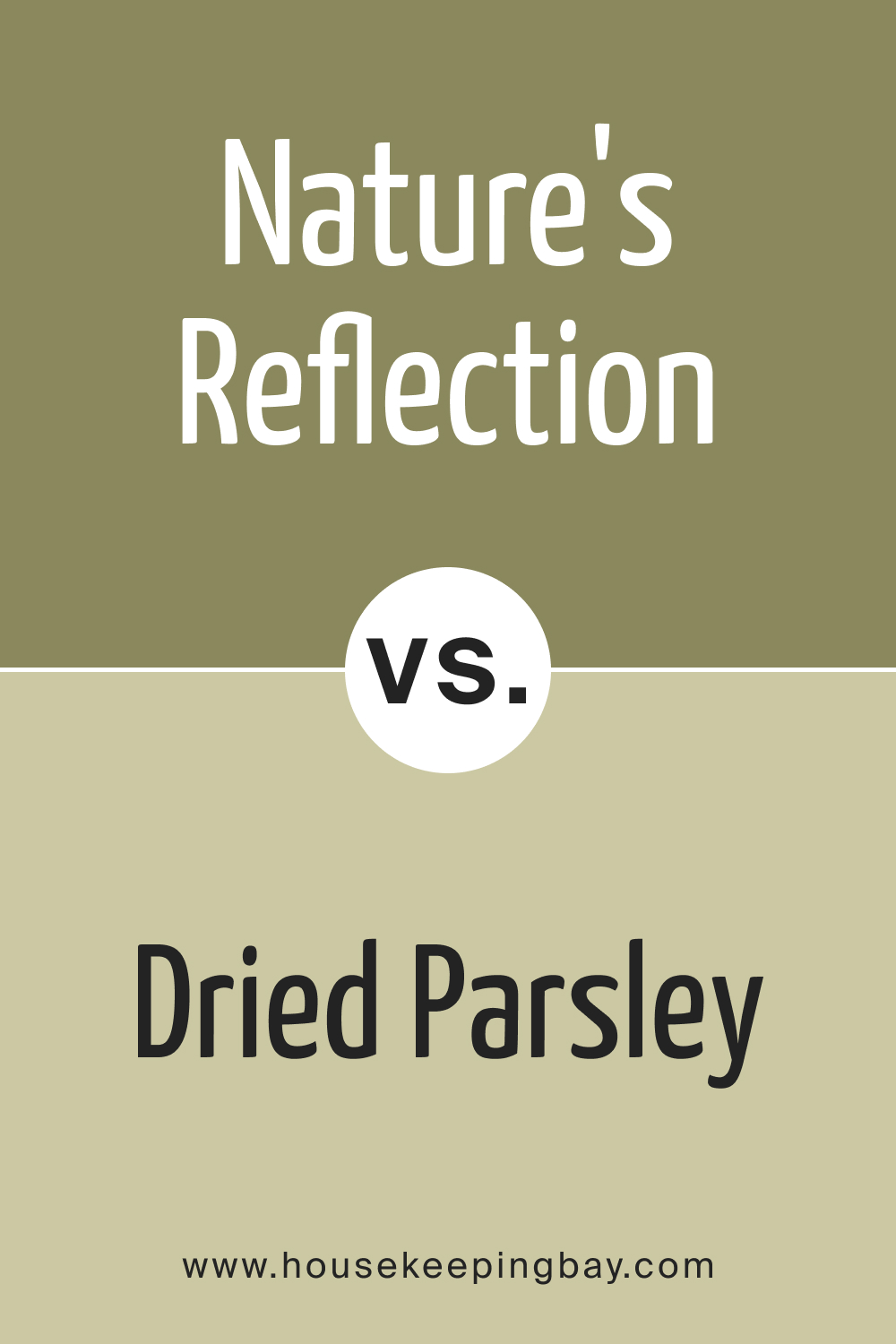 BM Nature's Reflection 504 vs. BM 522 Dried Parsley
