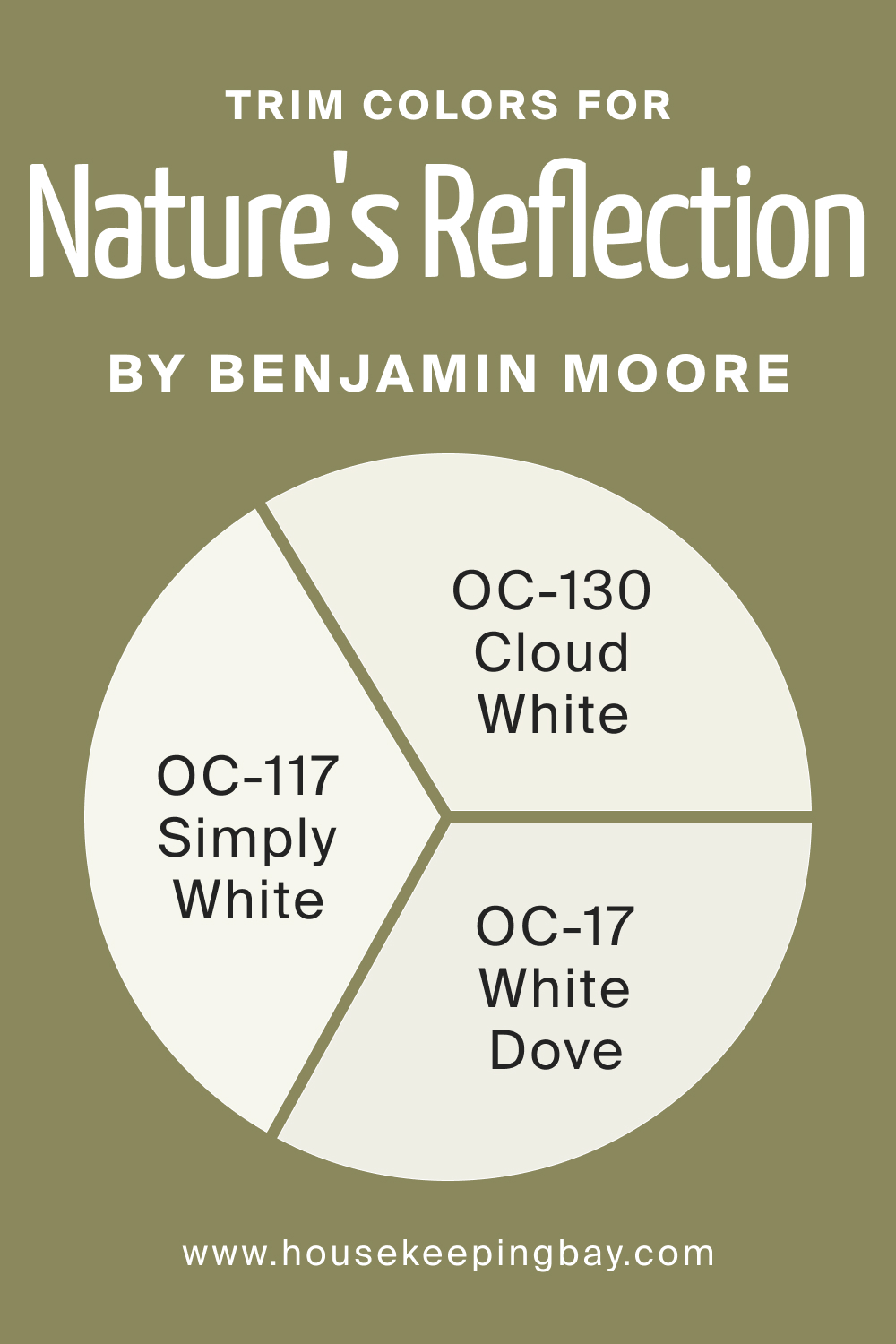 Trim Colors of BM Nature's Reflection 504
