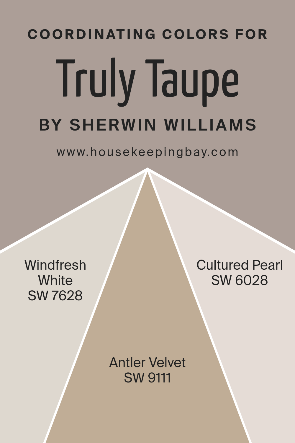 coordinating_colors_of_truly_taupe_sw_6038