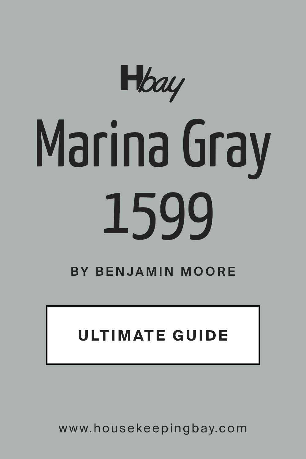 marina_gray_1599_paint_color_by_benjamin_moore_ultimate_guide