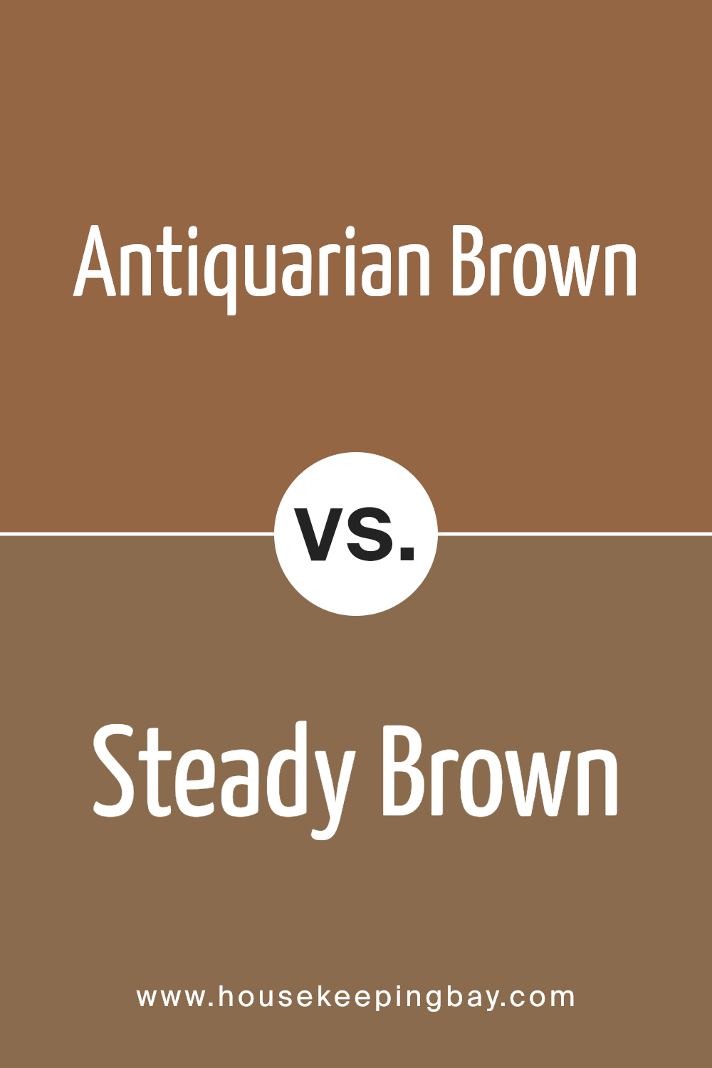 antiquarian_brown_sw_0045_vs_steady_brown_sw_6110