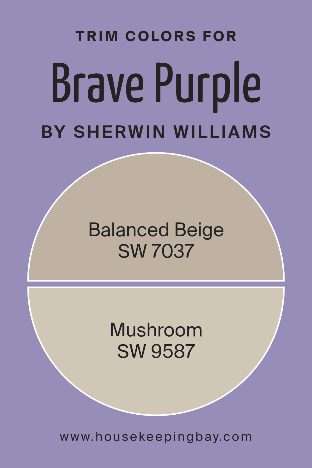 trim_colors_of_brave_purple_sw_6823