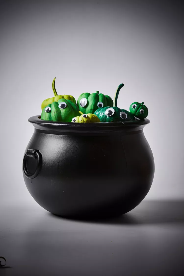 Cauldron-pumpkins-103256926_B8TCCDEGaiOAcYhVNoJR7f-08752b11aa984968ba8bc6f363bbdca4