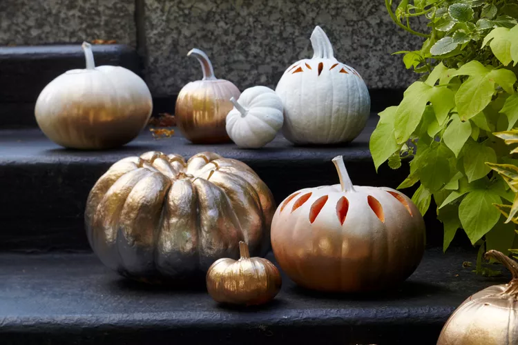 Metallic-painted-pumpkins-102166961_9ohNy4Uuqu28zE2dPSXgOt-4b58f789c87544bf872595162875f348