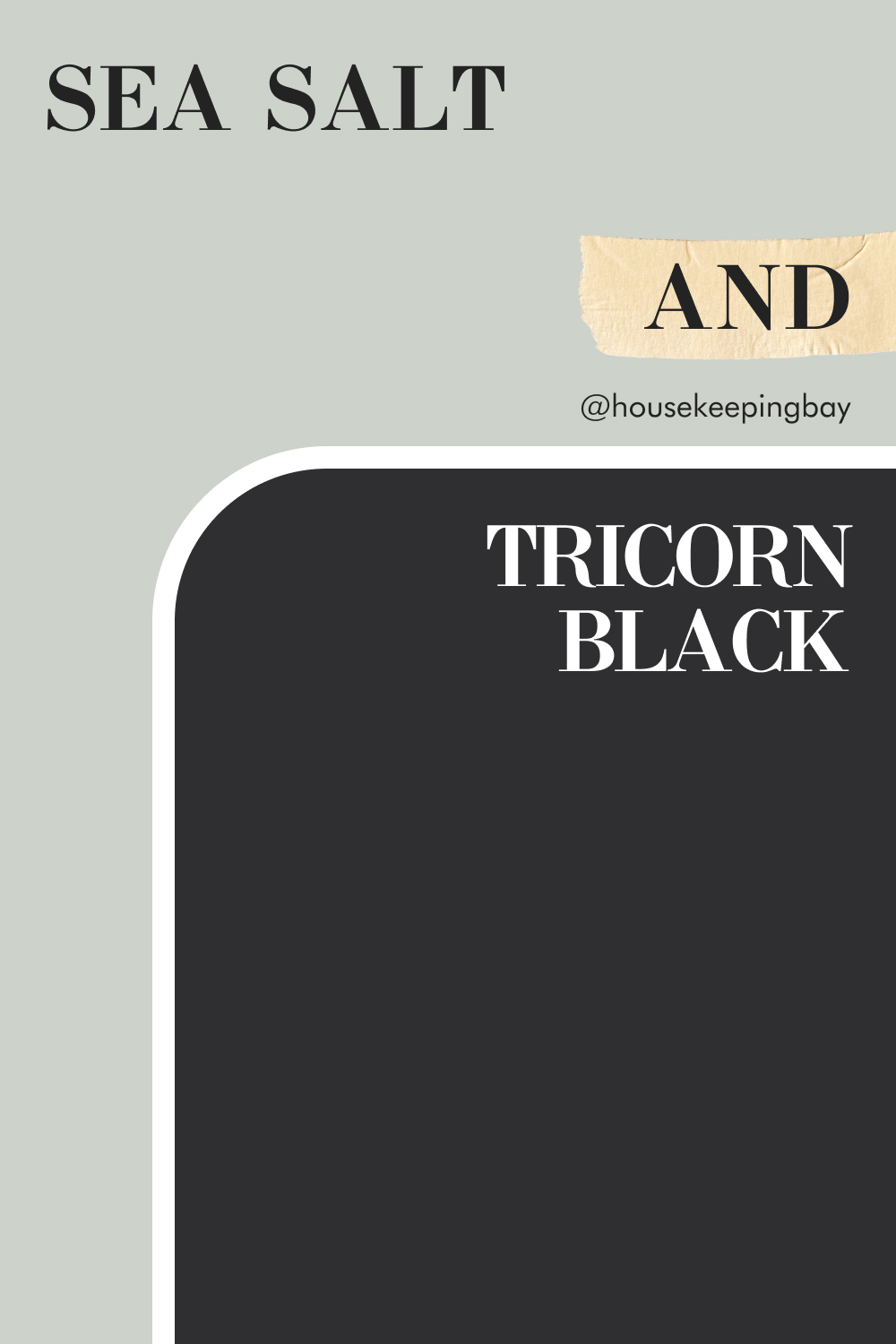 Sea Salt and Tricorn Black