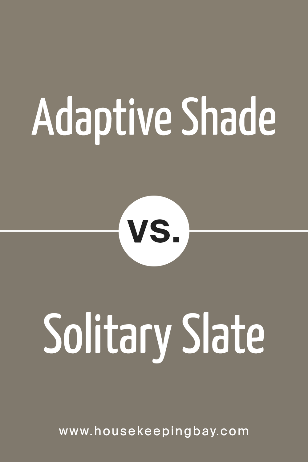 adaptive_shade_sw_7053_vs_solitary_slate_sw_9598