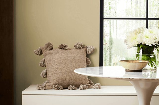 Earthy Ochre SW 9532 by Sherwin Williams