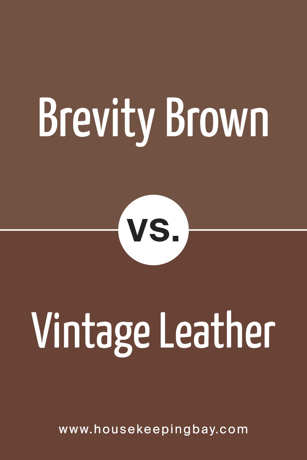 brevity_brown_sw_6068_vs_vintage_leather_sw_6062