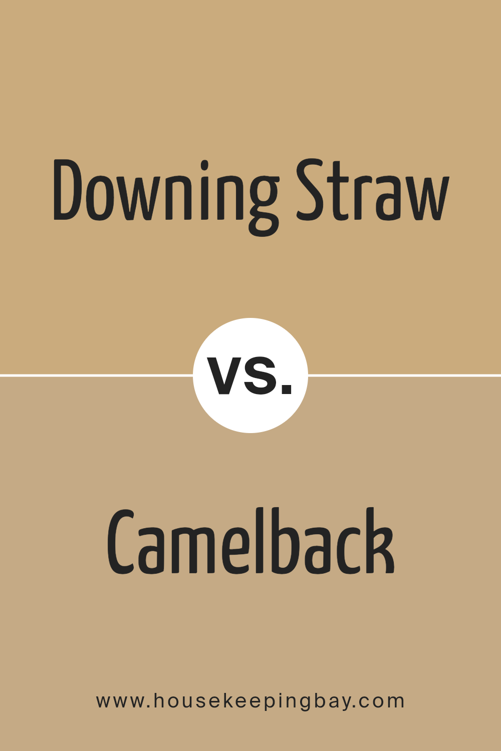 downing_straw_sw_2813_vs_camelback_sw_6122