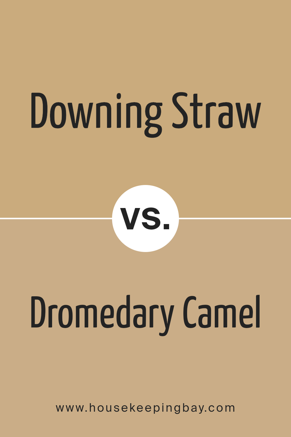 downing_straw_sw_2813_vs_dromedary_camel_sw_7694