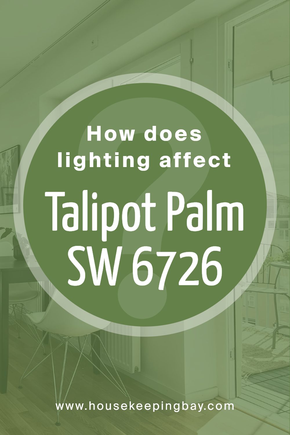 how_does_lighting_affect_talipot_palm_sw_6726