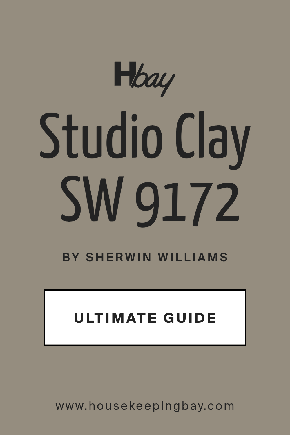 studio_clay_sw_9172_paint_color_by_sherwin_williams_ultimate_guide