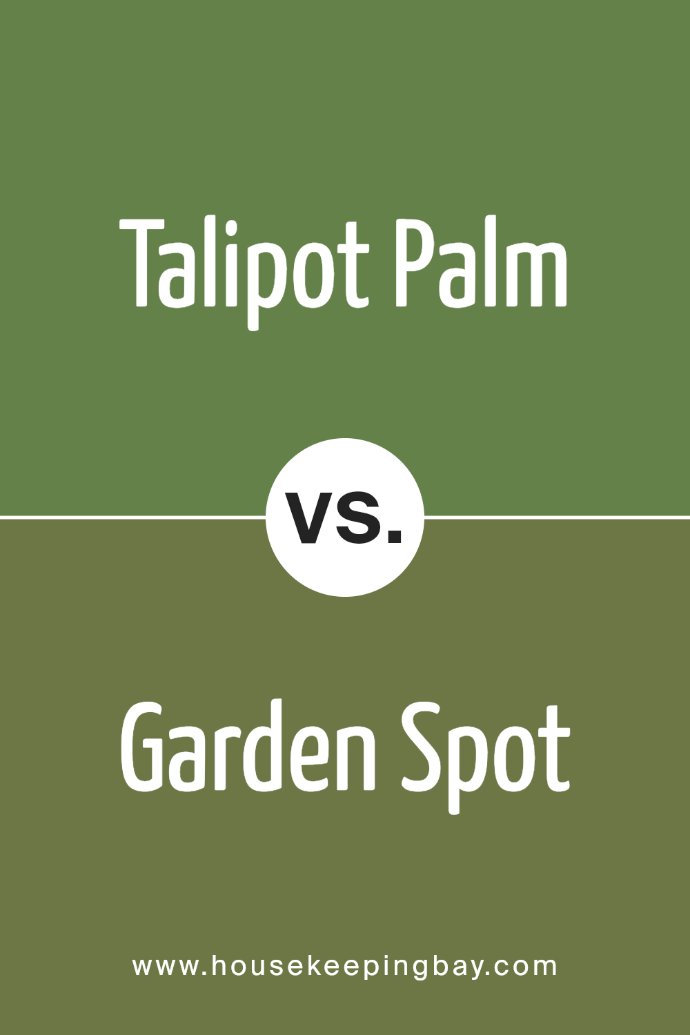 talipot_palm_sw_6726_vs_garden_spot_sw_6432