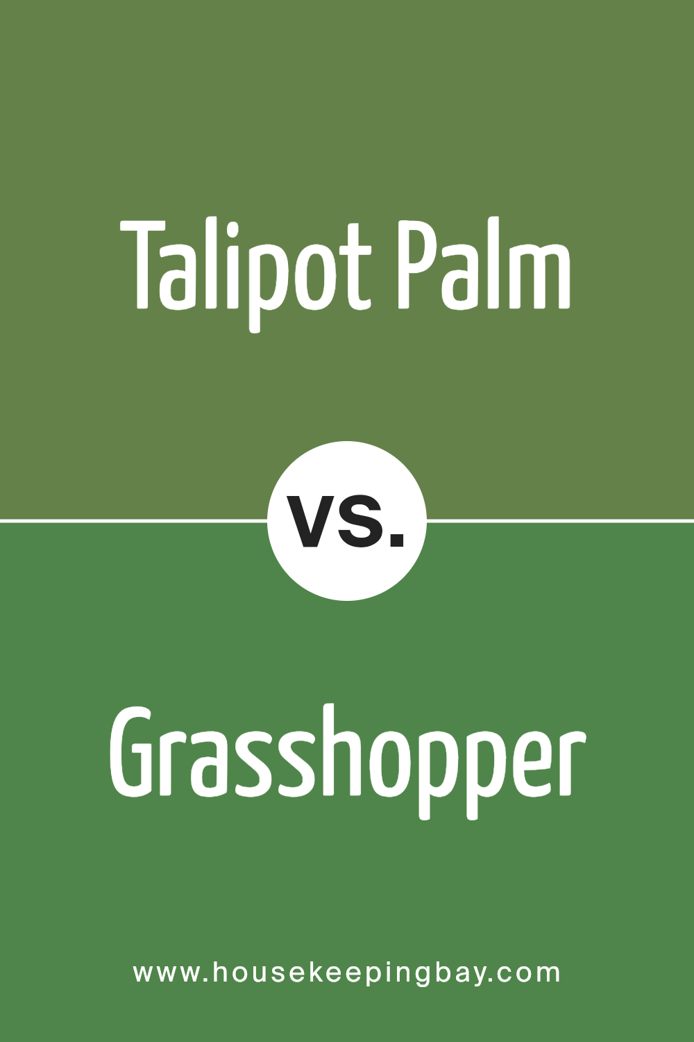 talipot_palm_sw_6726_vs_grasshopper_sw_6733