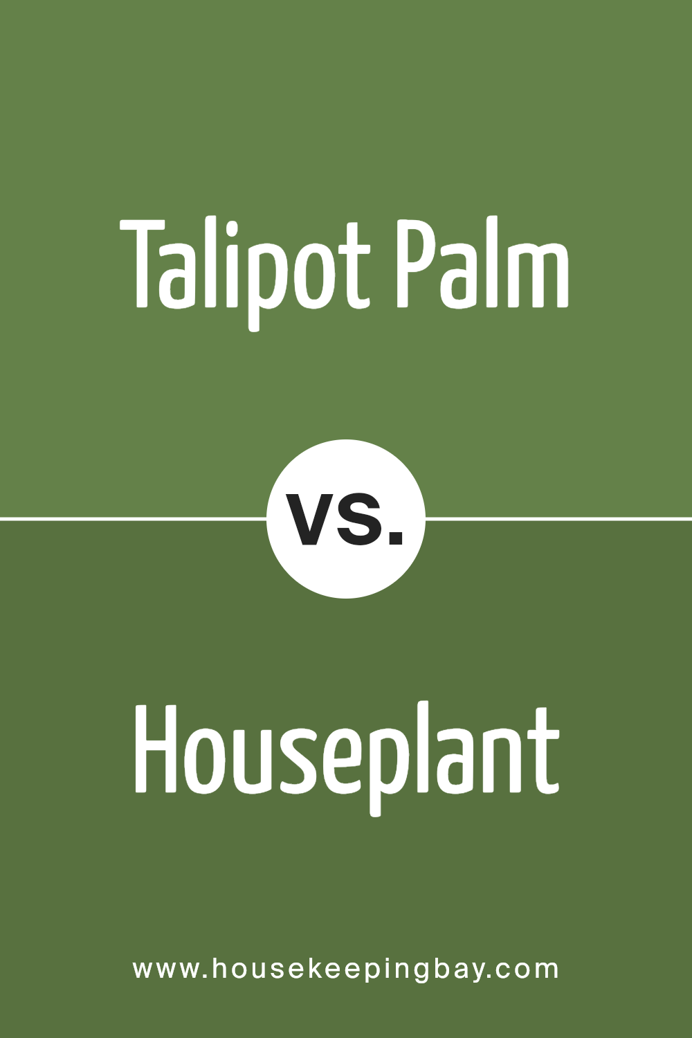 talipot_palm_sw_6726_vs_houseplant_sw_6727