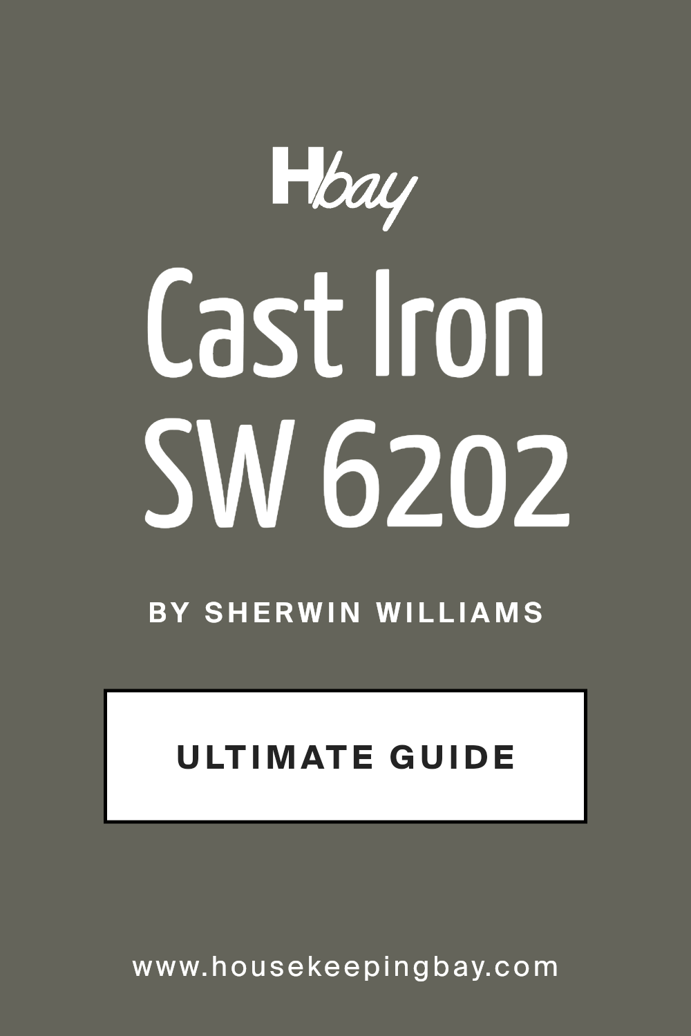 cast_iron_sw_6202_paint_color_by_sherwin_williams_ultimate_guide