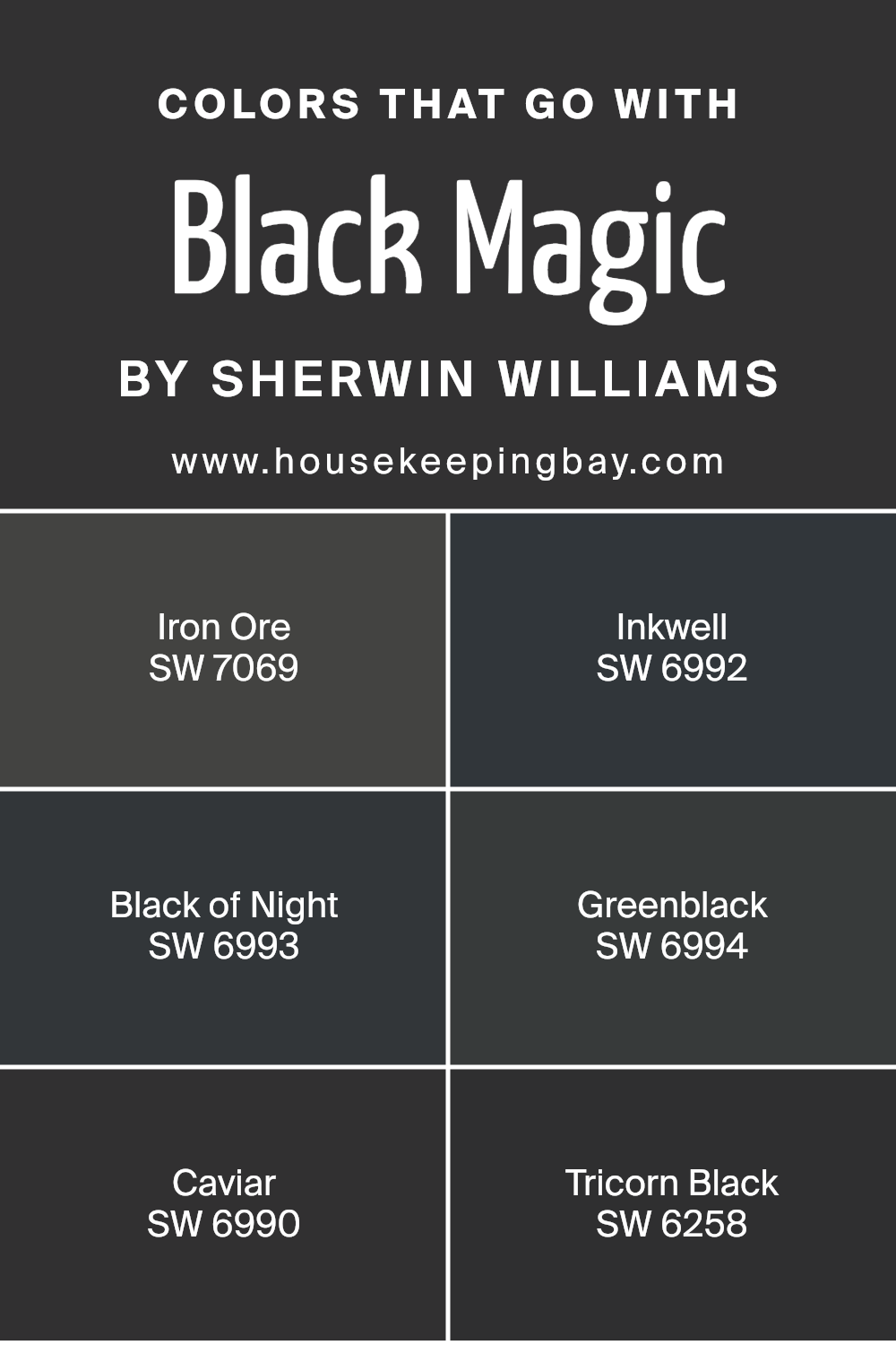 colors_that_go_with_black_magic_sw_6991