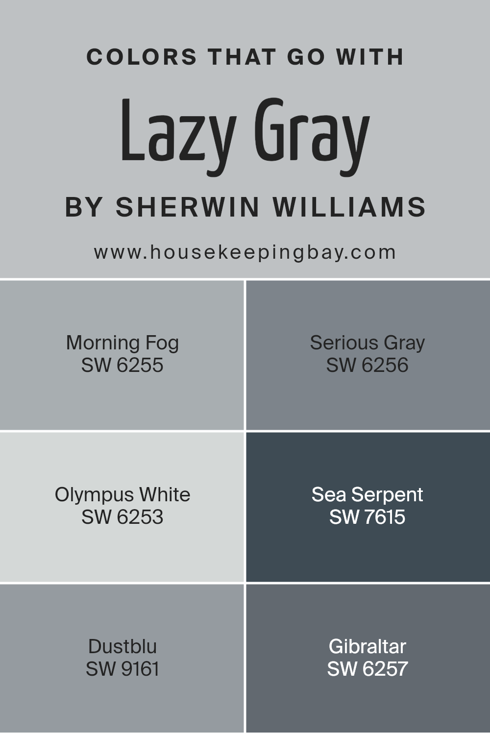 colors_that_go_with_lazy_gray_sw_6254