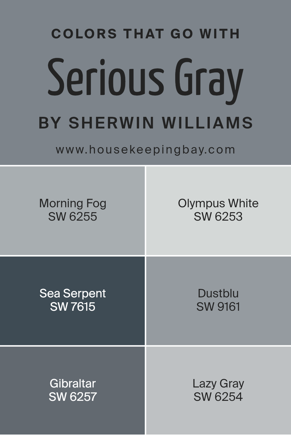 colors_that_go_with_serious_gray_sw_6256