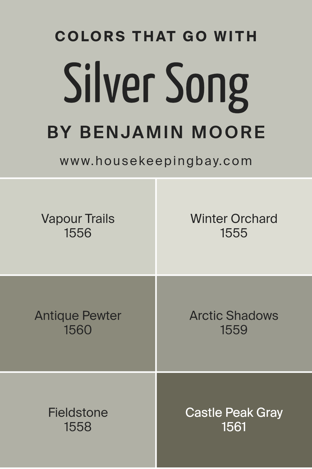 colors_that_go_with_silver_song_1557