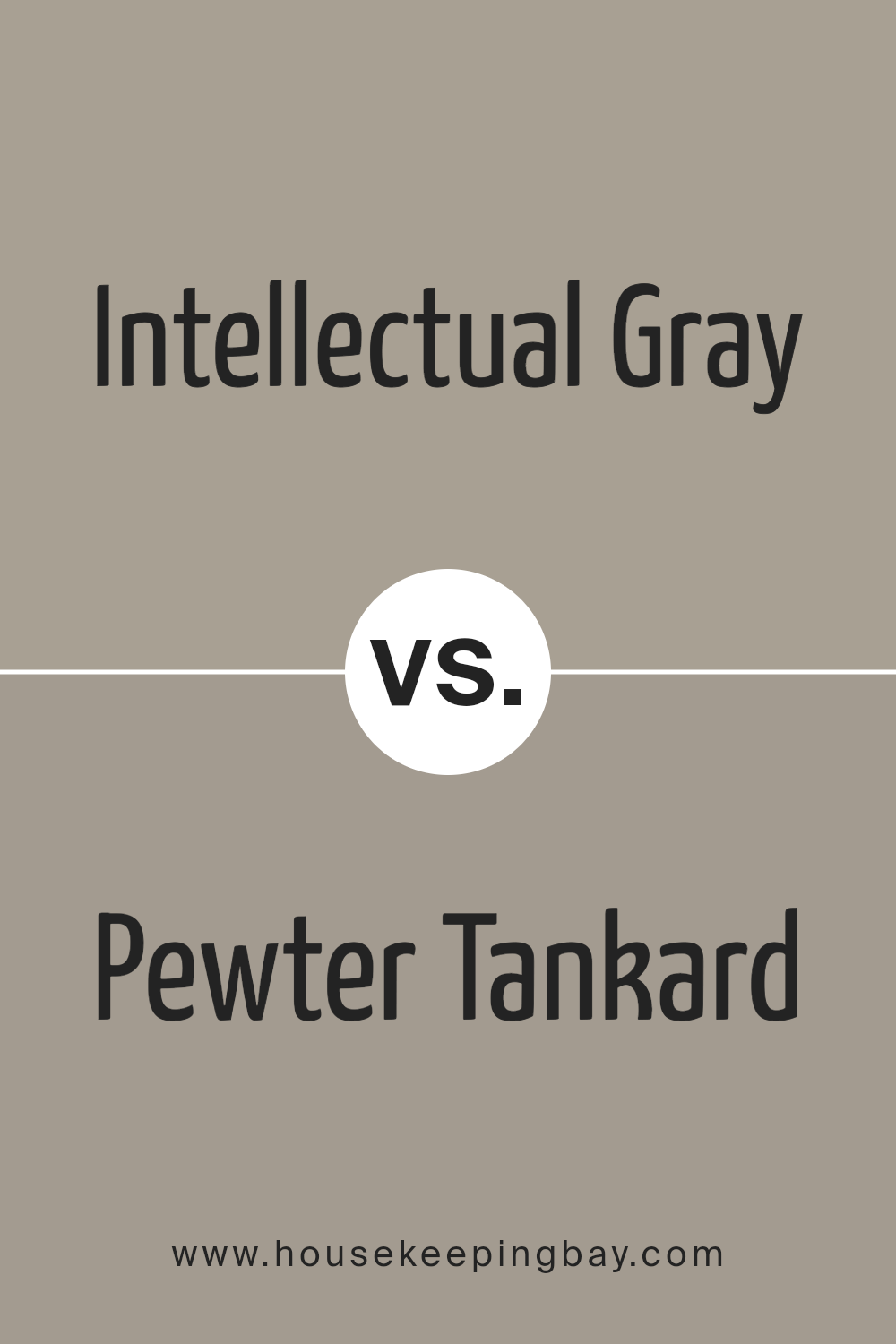 intellectual_gray_sw_7045_vs_pewter_tankard_sw_0023