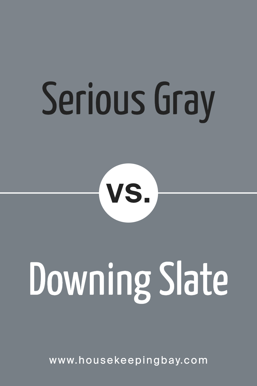 serious_gray_sw_6256_vs_downing_slate_sw_2819