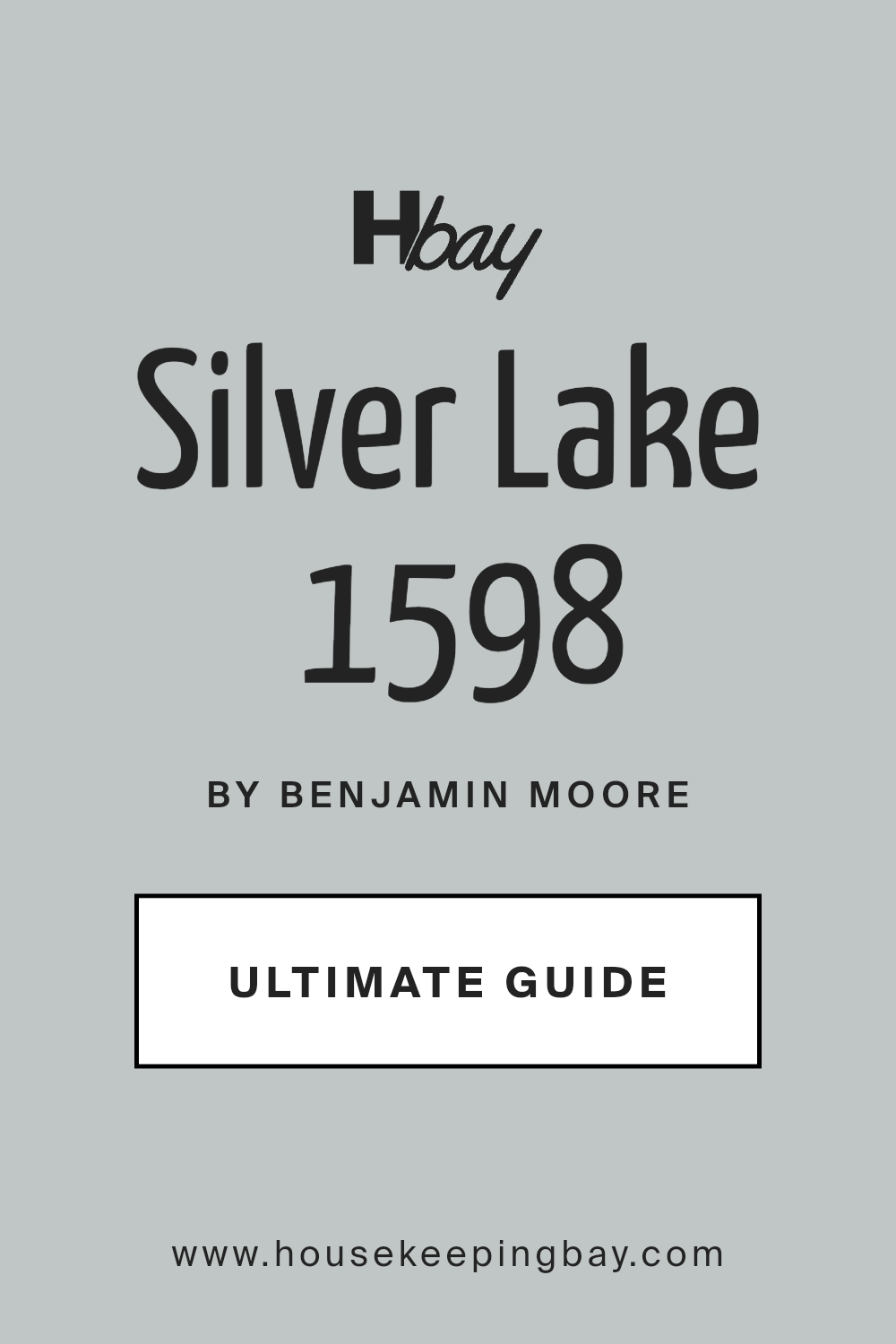 silver_lake_1598_paint_color_by_benjamin_moore_ultimate_guide