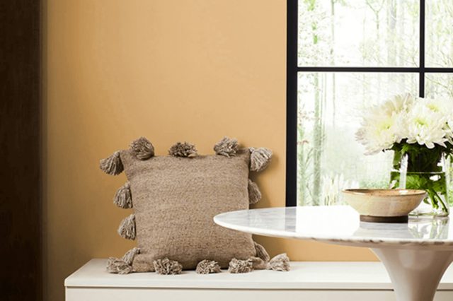 Golden Fleece SW 6388 by Sherwin Williams