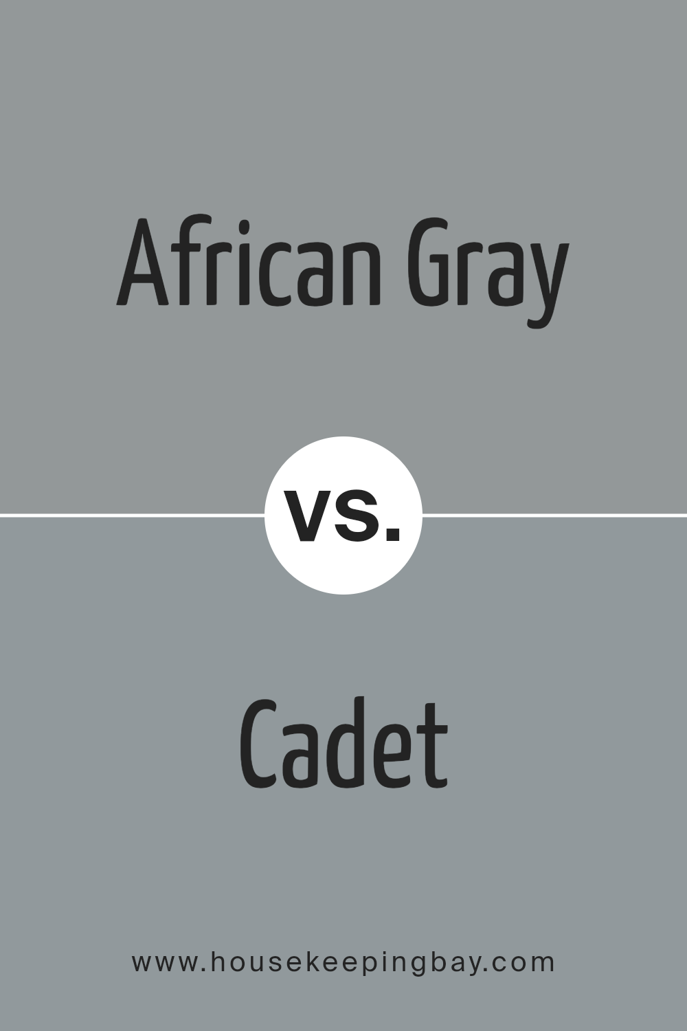 african_gray_sw_9162_vs_cadet_sw_9143