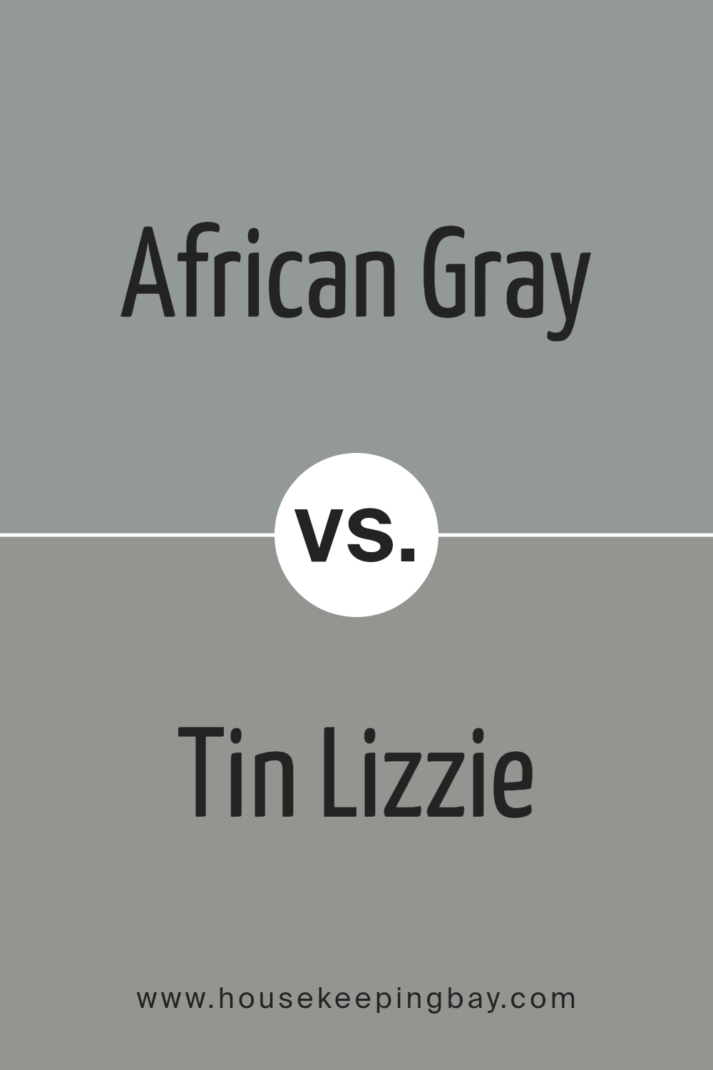 african_gray_sw_9162_vs_tin_lizzie_sw_9163