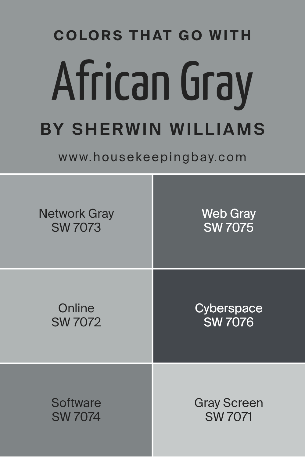 colors_that_go_with_african_gray_sw_9162