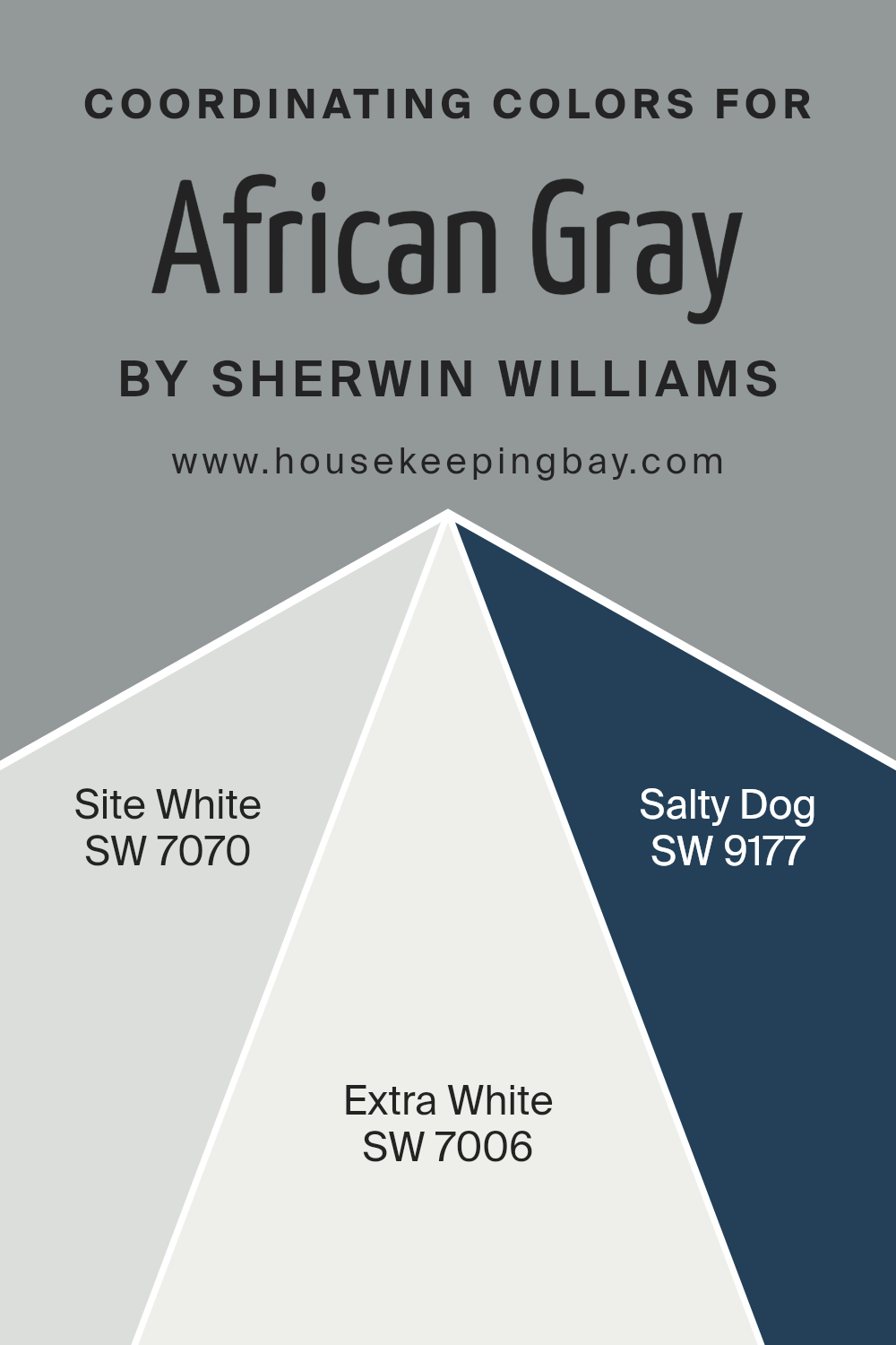 coordinating_colors_of_african_gray_sw_9162